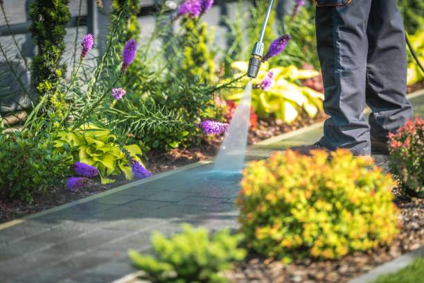 Best Dumpster Area Cleaning  in Santa Clara, UT